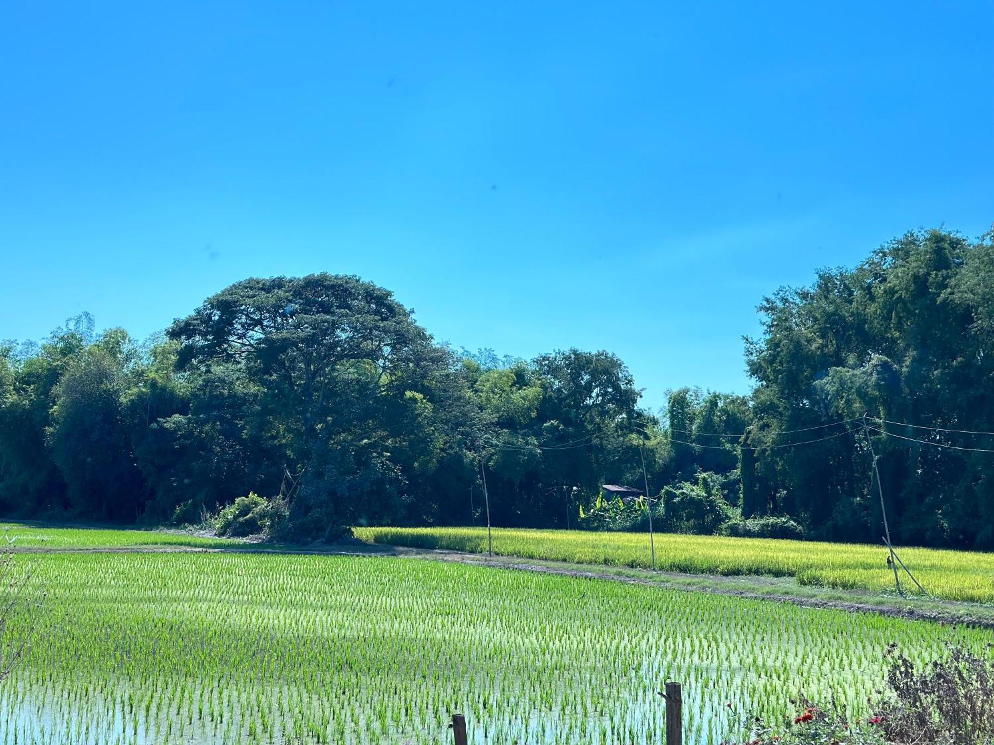 Ban Suweena Uthai Thani Dış mekan fotoğraf
